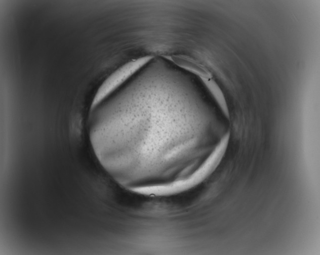 X0000089710211200707121419