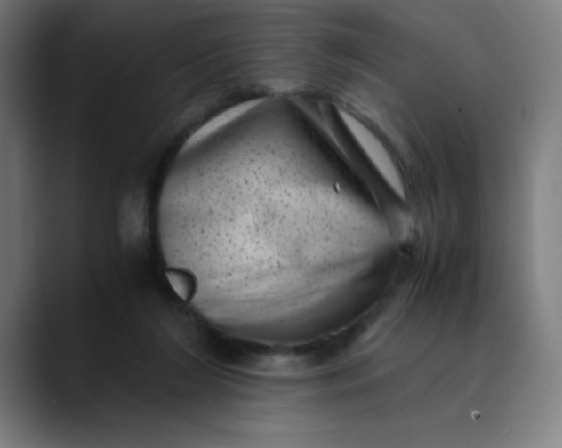 X0000089710212200707121419