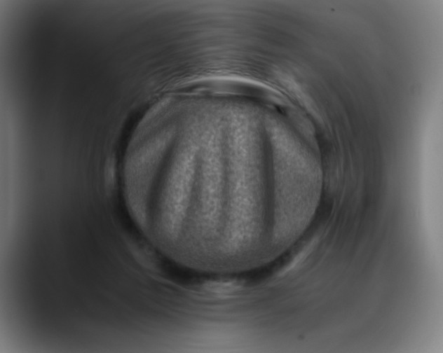 X0000089710213200707121418