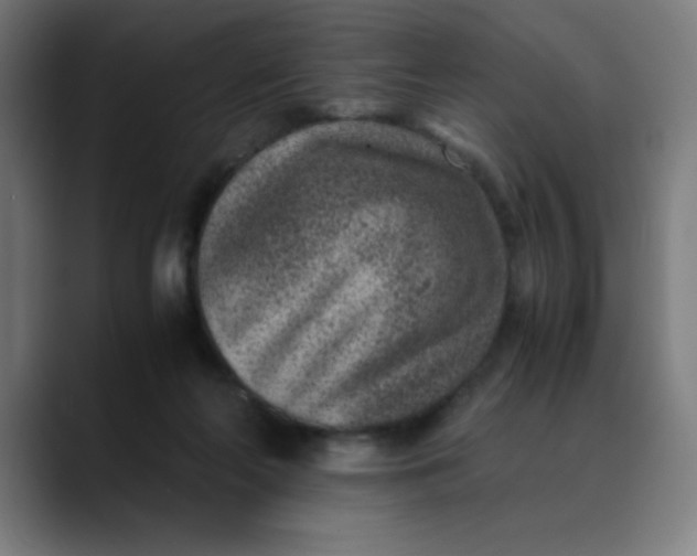 X0000089710214200707121418