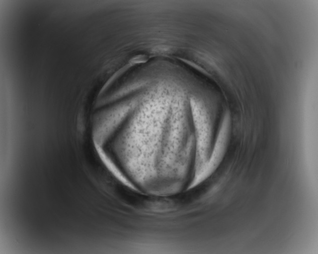 X0000089710215200707121418