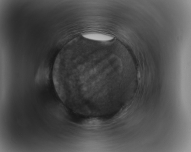 X0000089710219200707121418