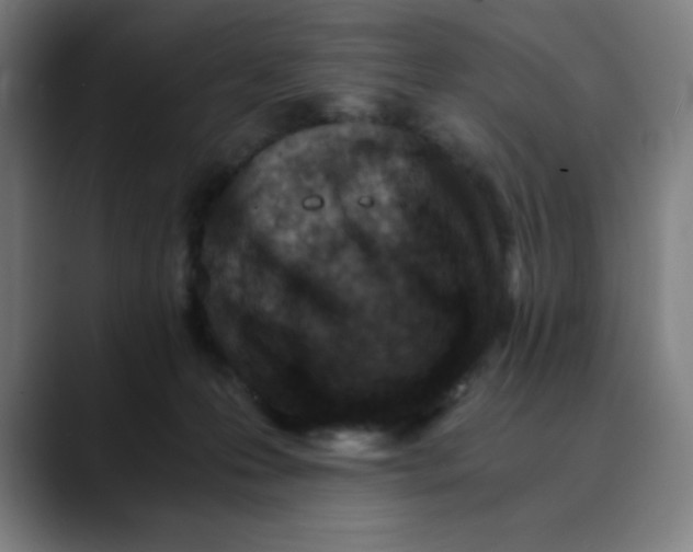 X0000089710223200707121418