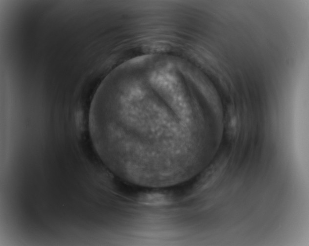 X0000089710224200707121418