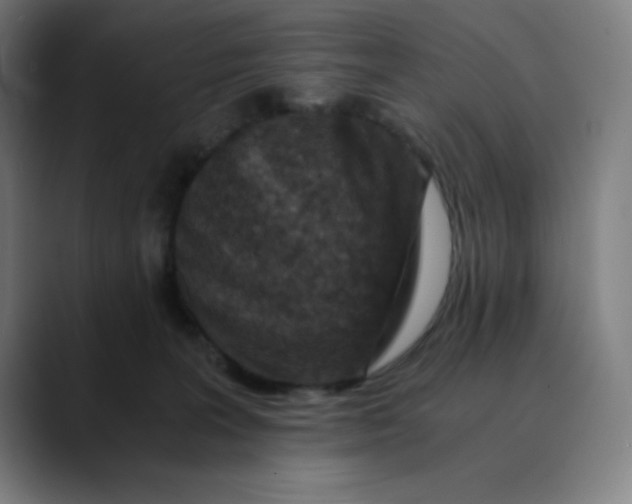 X0000089710227200707121418