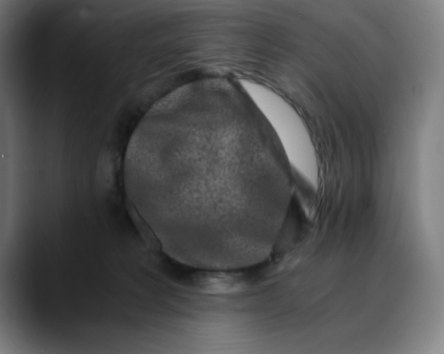 X0000089710229200707121418