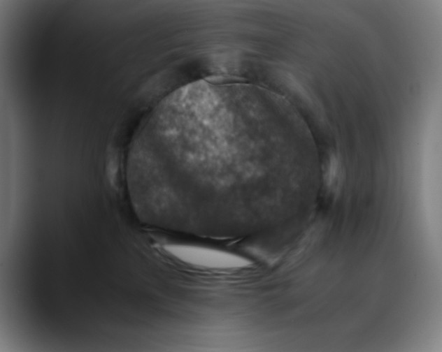 X0000089710233200707121418