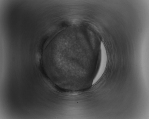 X0000089710235200707121418