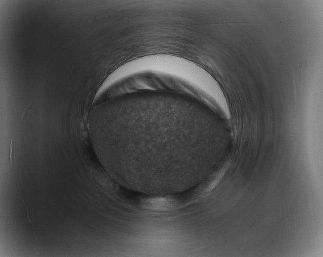 X0000089710237200707121418