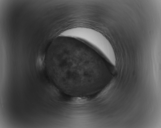 X0000089710239200707121418