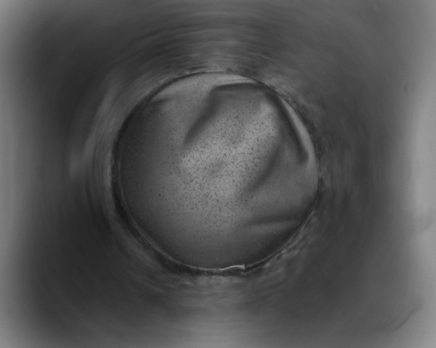 X0000089710242200707121418