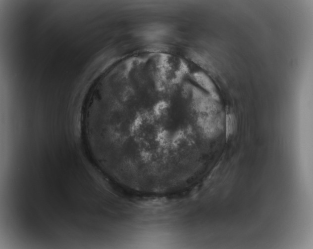 X0000089710243200707121418