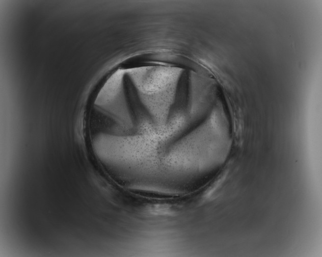 X0000089710244200707121418