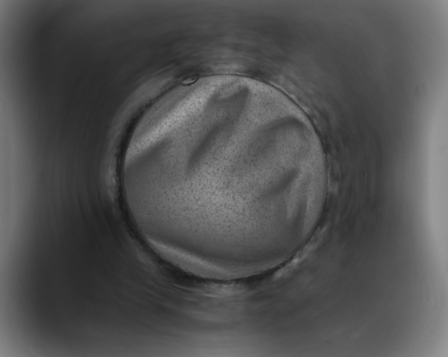 X0000089710245200707121418