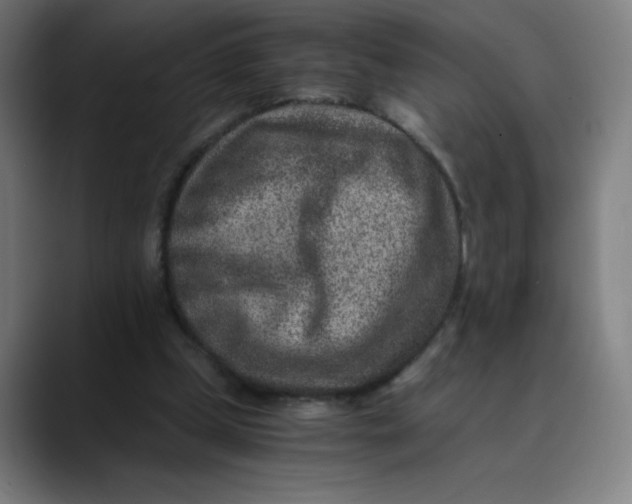 X0000089710249200707121418