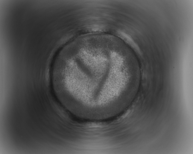 X0000089710250200707121418