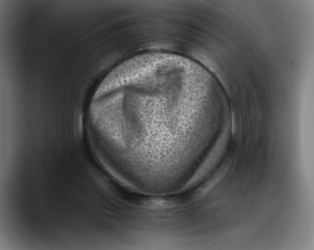 X0000089710253200707121418