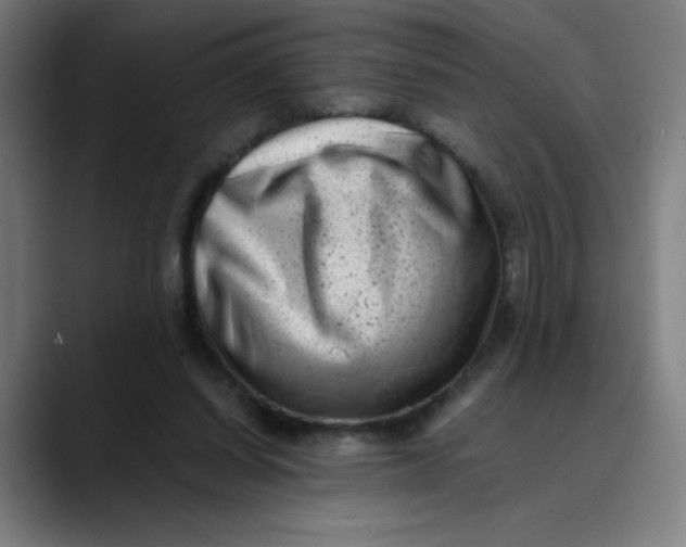 X0000089710254200707121418