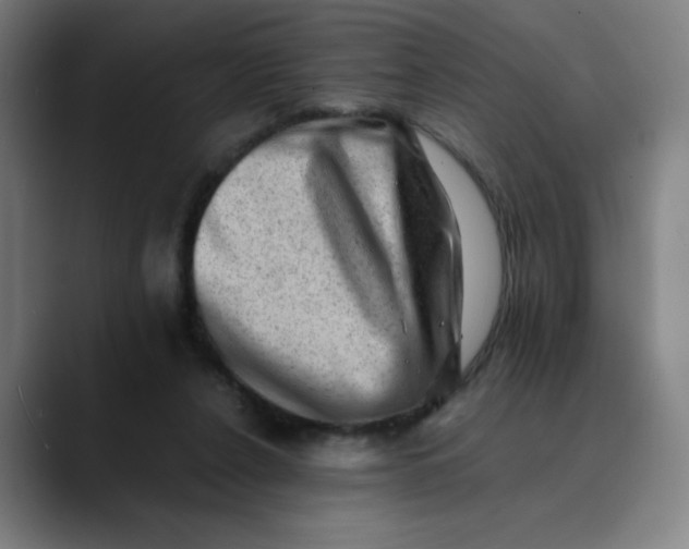 X0000089710256200707121418