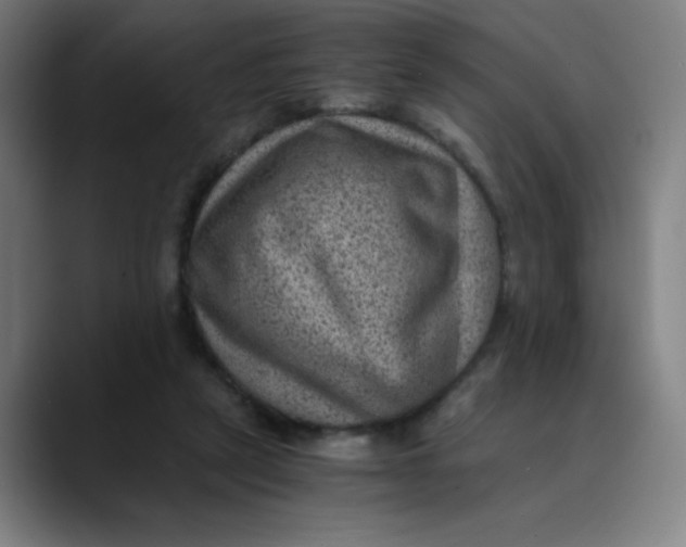 X0000089710257200707121418