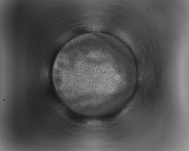 X0000089710258200707121418