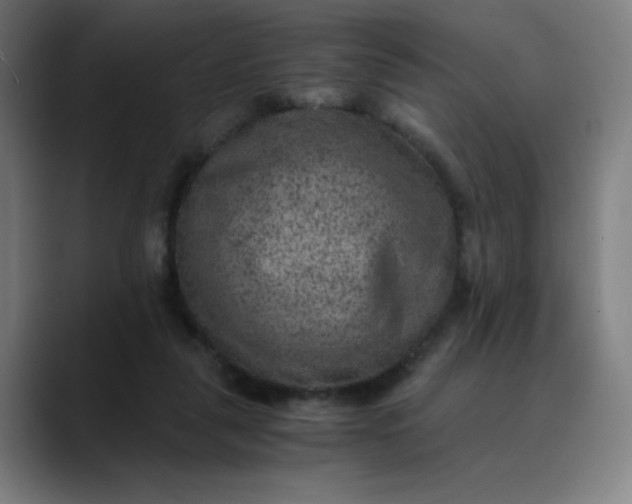 X0000089710259200707121418