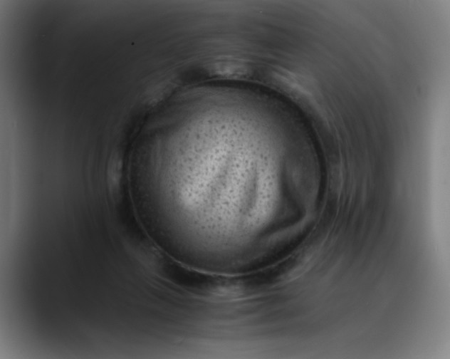 X0000089710263200707121418