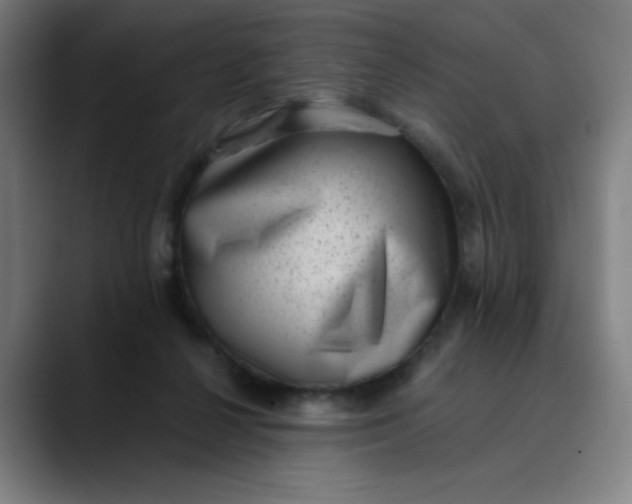 X0000089710264200707121418