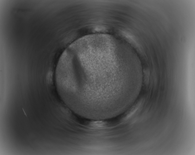 X0000089710269200707121418