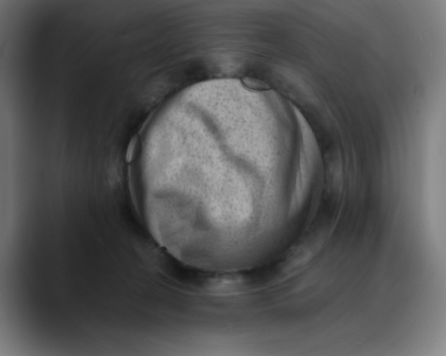 X0000089710274200707121418