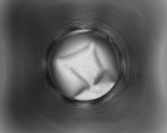 X0000089710284200707121418