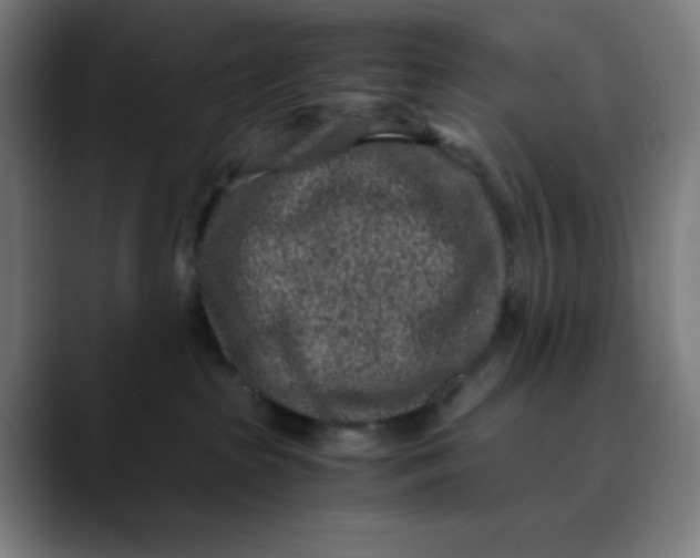 X0000089710285200707121418