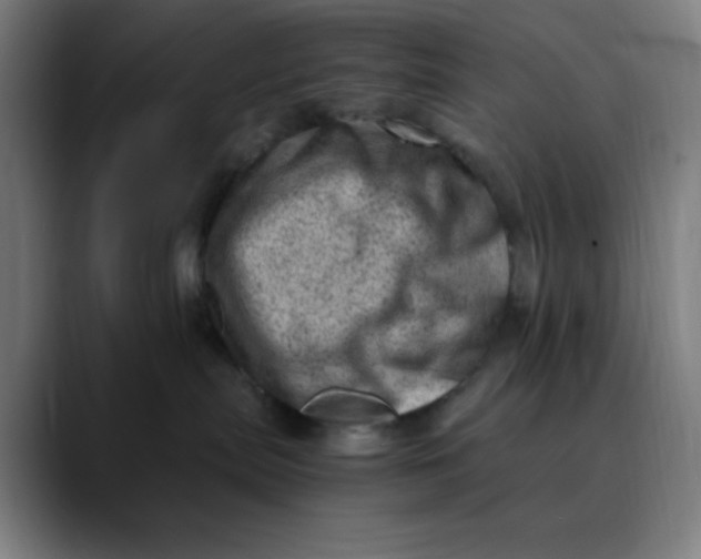 X0000089710287200707121418