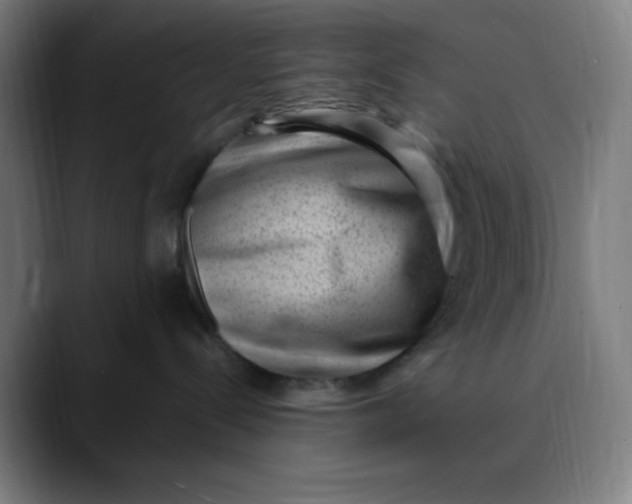 X0000089710288200707121418