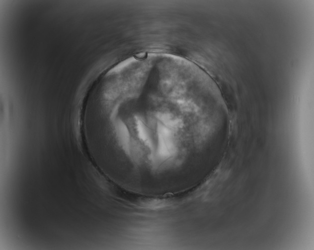 X0000089710293200707121418