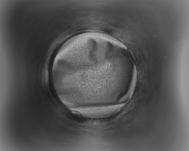 X0000089710294200707121418