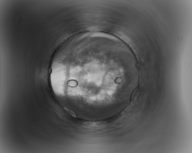 X0000089710297200707121418