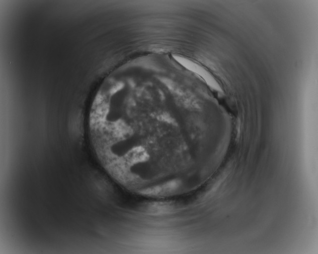 X0000089710303200707121417