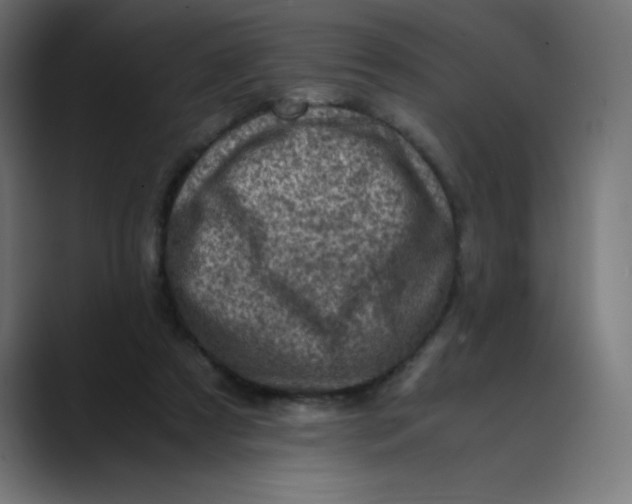 X0000089710305200707121417