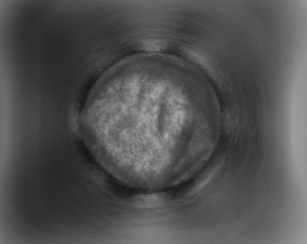 X0000089710307200707121417