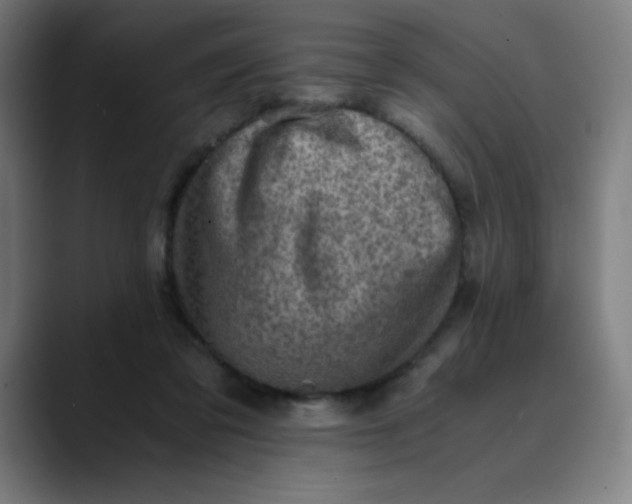 X0000089710309200707121417