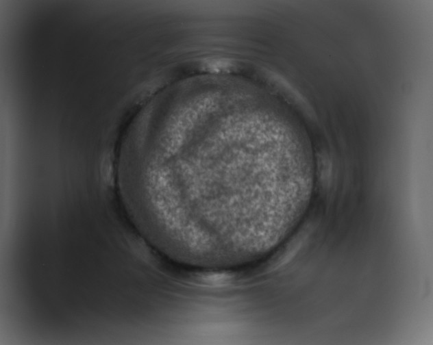 X0000089710313200707121417