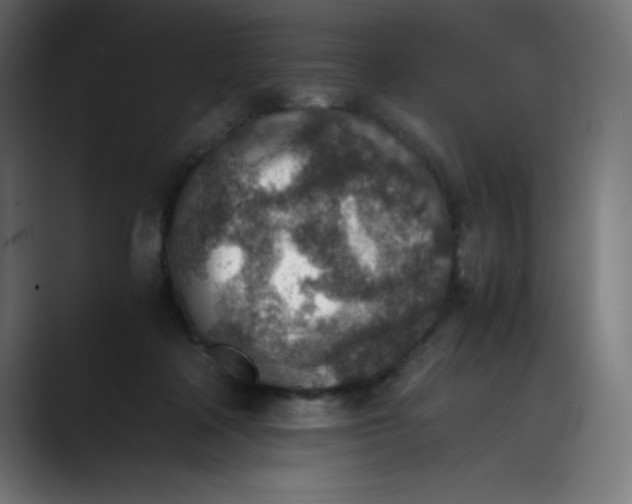 X0000089710314200707121417