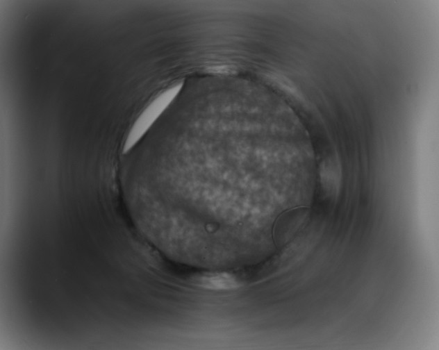 X0000089710322200707121417