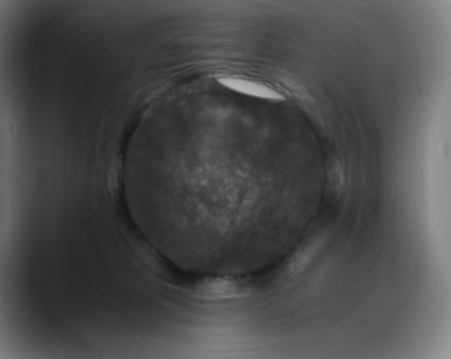 X0000089710325200707121417