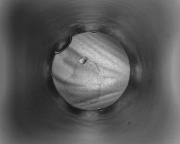 X0000089710327200707121417