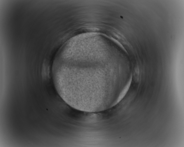 X0000089710330200707121417