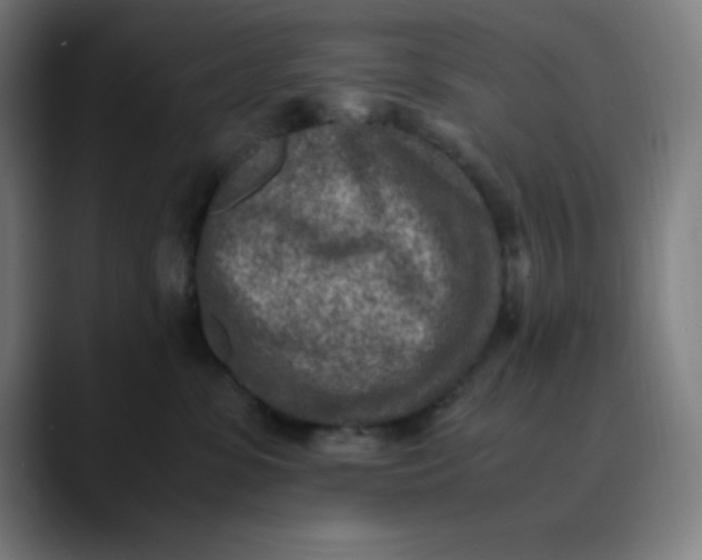 X0000089710331200707121417