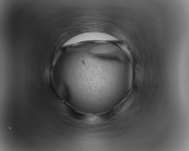 X0000089710333200707121417