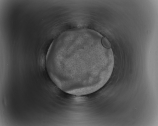 X0000089710336200707121417